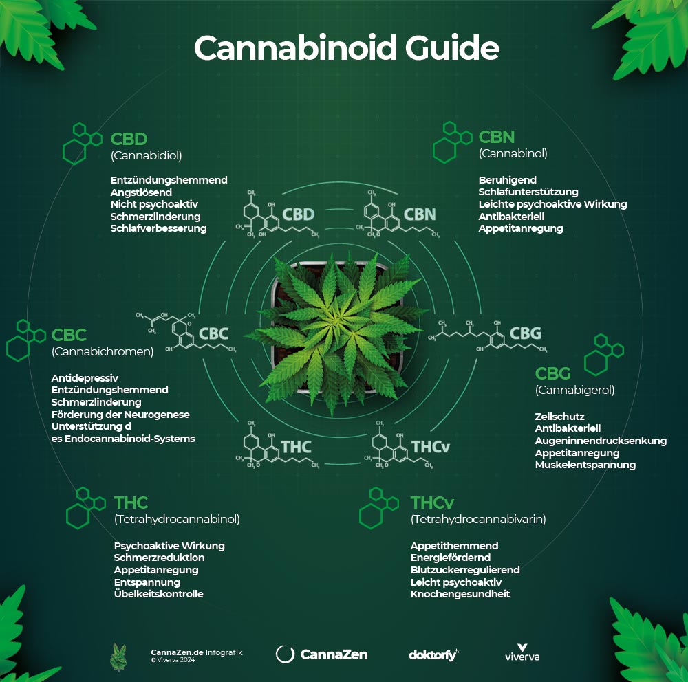 Δ10-THC Vergleich Cannabinoide