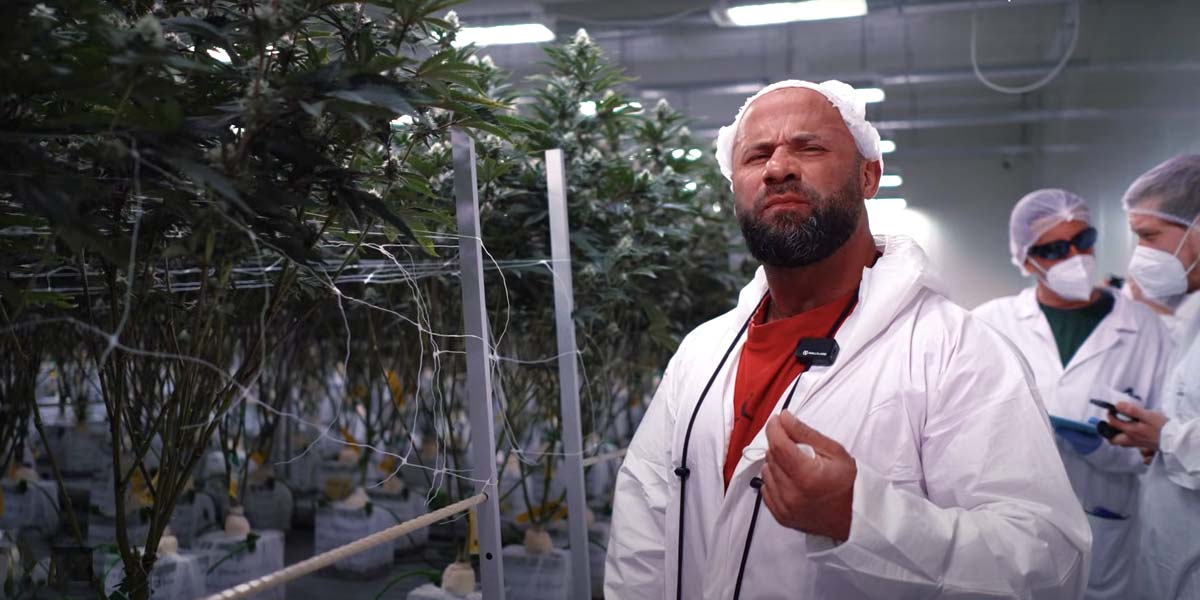 cannabis-plantage-doku-dokumentation-deutschland-sharo-reise-trip-tour